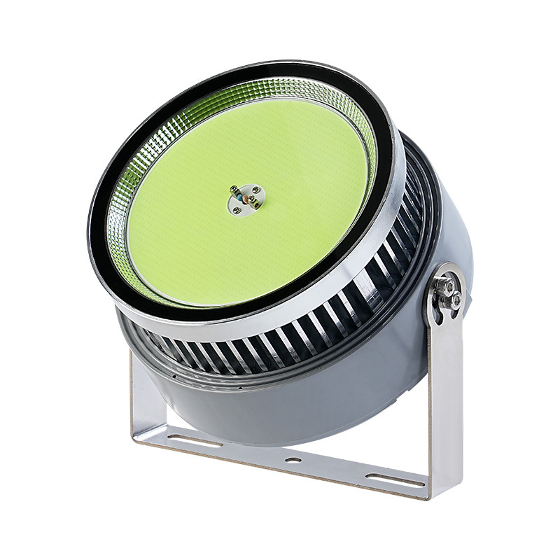 Luce per pesci a led da 1000 W - Outdoor Lighting Wall Mount recensione e prezzo