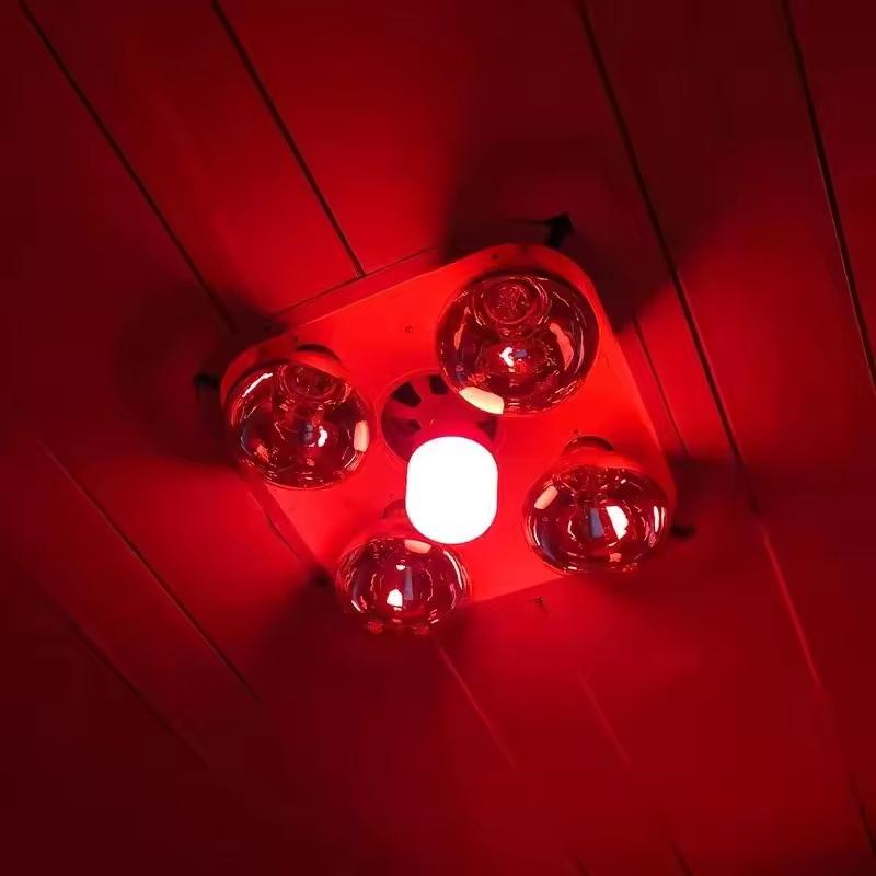 Nuova Lampadina LED Rossa ad A - Outdoor Lighting Solar recensione e prezzo